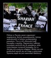Kolejne absurdalne przykłady agresji