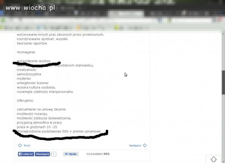 Oferta pracy...