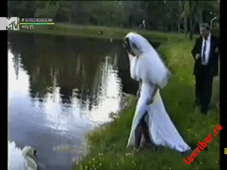Kto mi welon poniesie 