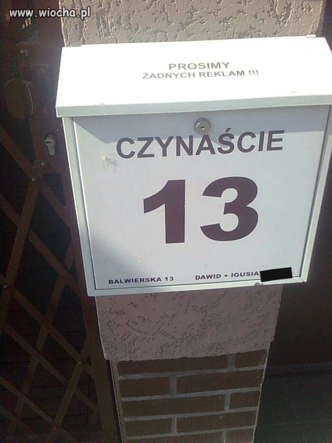 Czynaście
