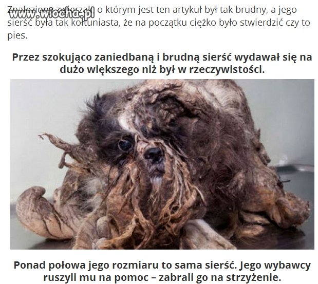 Bo się znudził