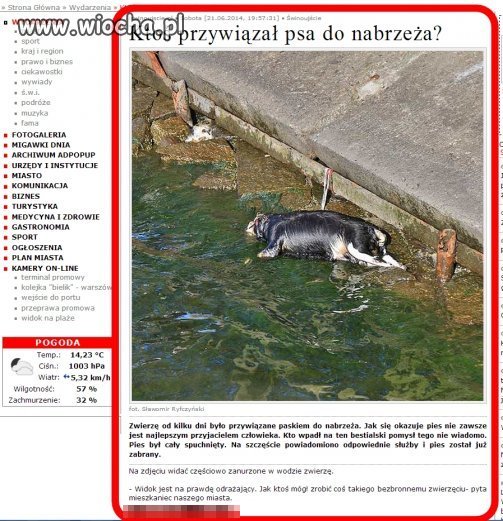 Ktoś przywiązał psa do nabrzeża!!!