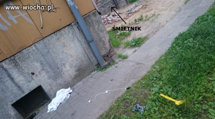Cygańska hołota woli wyrzucić śmieci przez okno,