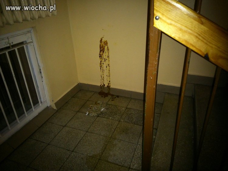 Niespodzianka dla dozorcy