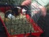 Pozdro dla pana z Łodzi, który w upał zamknął