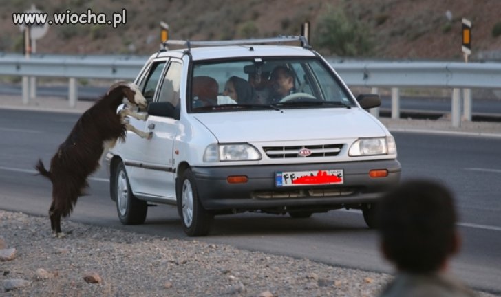 Jaki kraj...