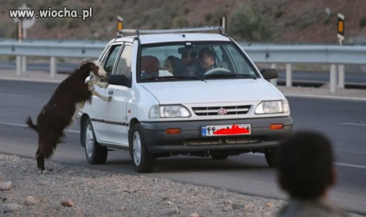 Jaki kraj...