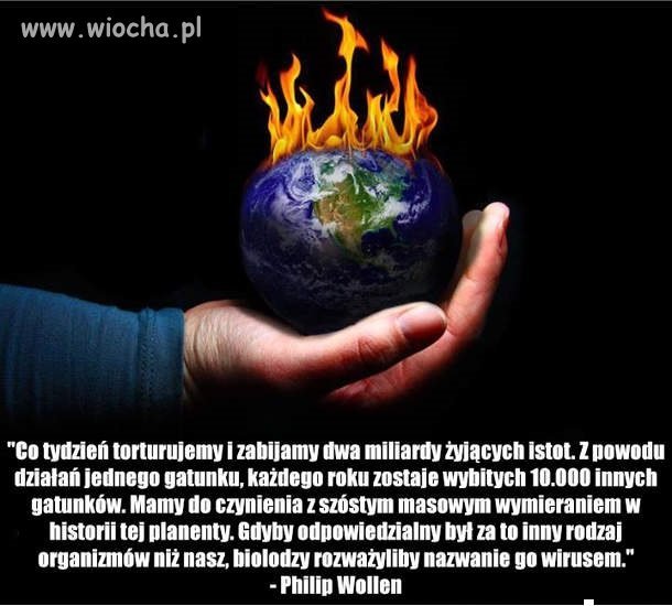 Człowiek-to brzmi dumnie?