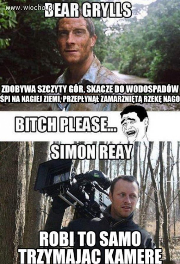 Bear to, Bear tamto