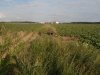 Przywiążmy psa na środku pola i niech pilnuje