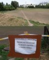 Typowe w Polsce (y)
