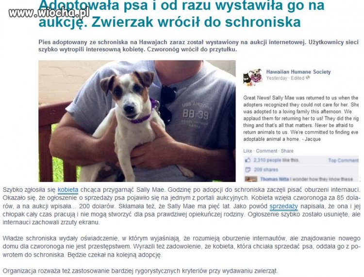 Bo dziś liczy się tylko kasa.