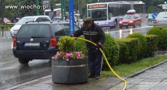 Nie ma przeproś,podlewać trzeba