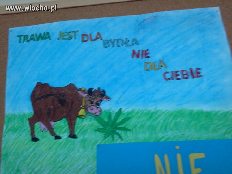 W pewnej szkole.