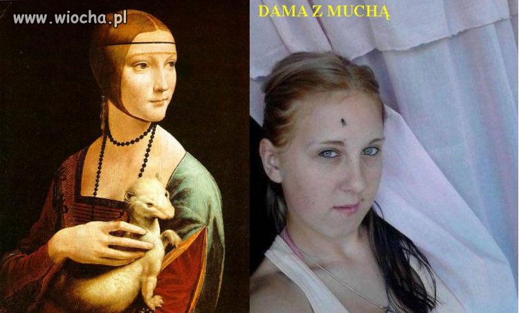 Dama z muchą