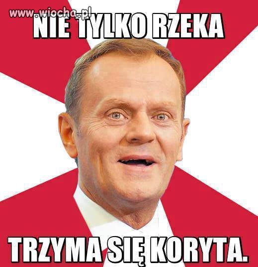 Kasa wszystko przysłania. 