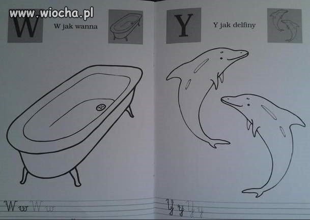 Y jak delfin