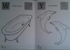 Y jak delfin