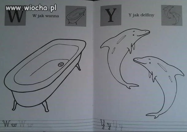 Y jak delfin