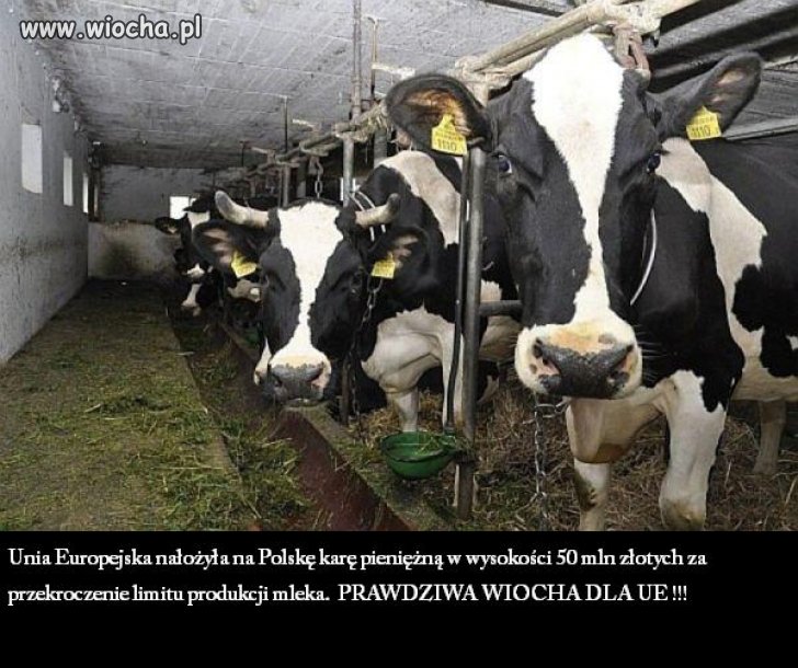 UE nakłada karę w wysokości 50mln zł...