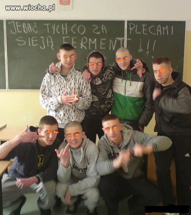Gimbałki w akcji