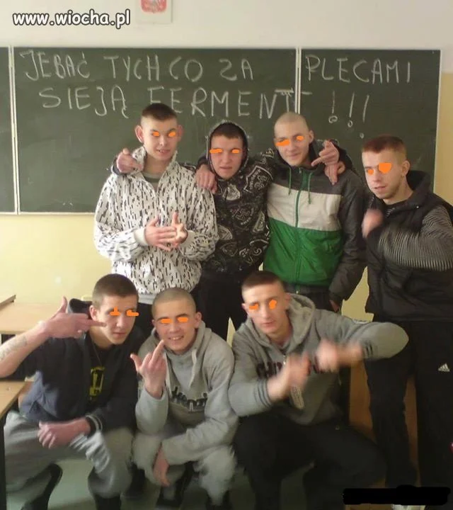 Gimbałki w akcji