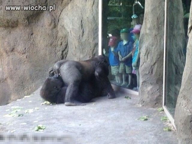 Tak wygląda życie drogie dzieci