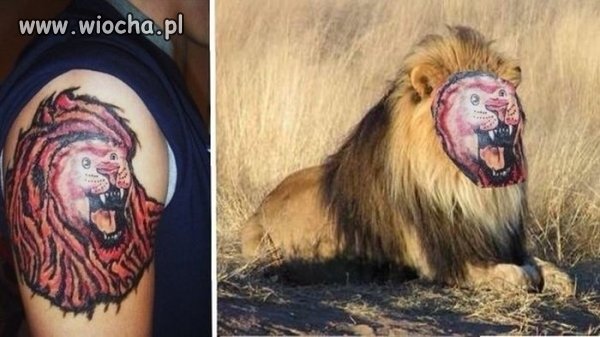 Pewnie chciał dobrze