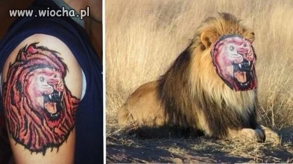 Pewnie chciał dobrze
