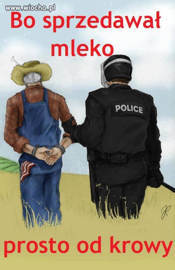 Dzisiejsze przepisy