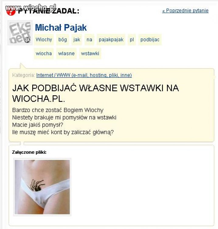 Desperacja 