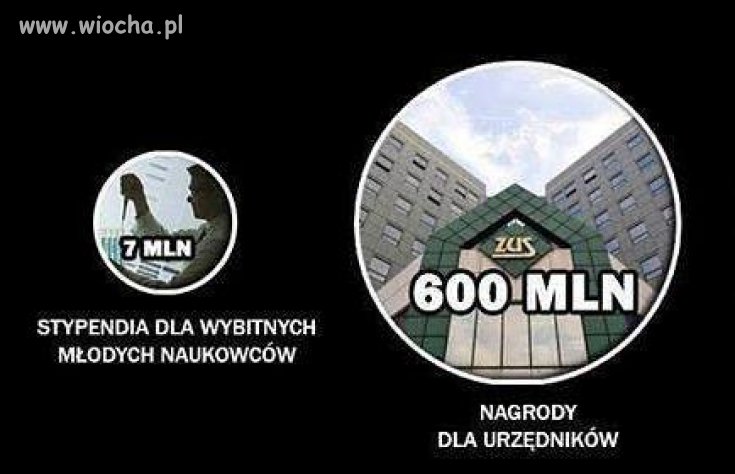 Rząd wspiera najzdolniejszych 
