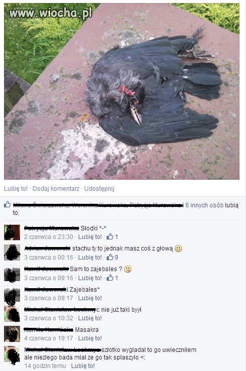 Musiał się pochwalić