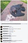 Musiał się pochwalić