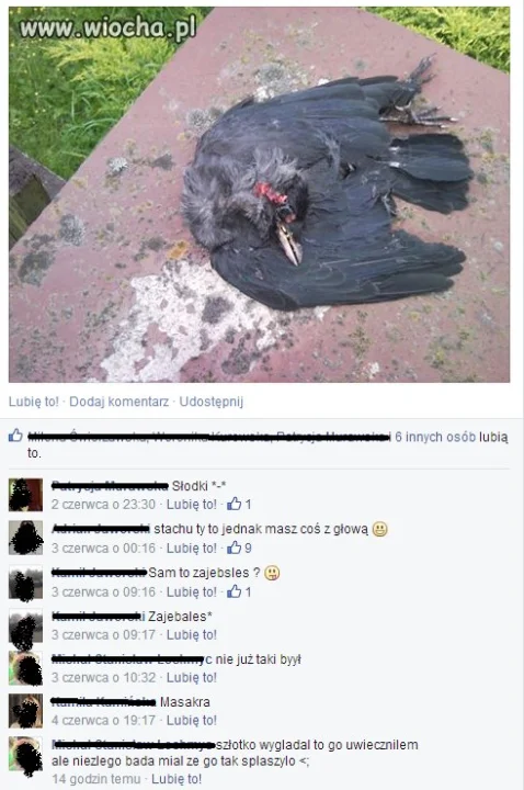 Musiał się pochwalić