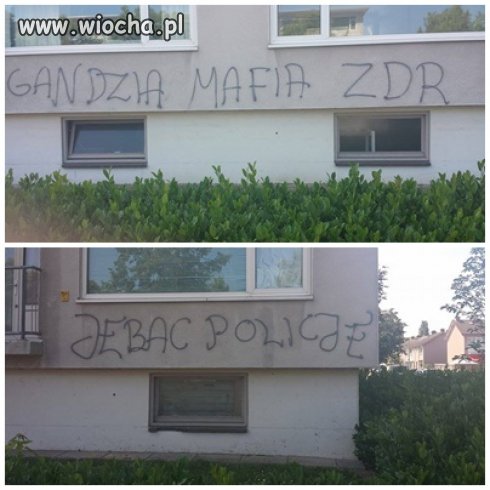 Polacy w Holandii 