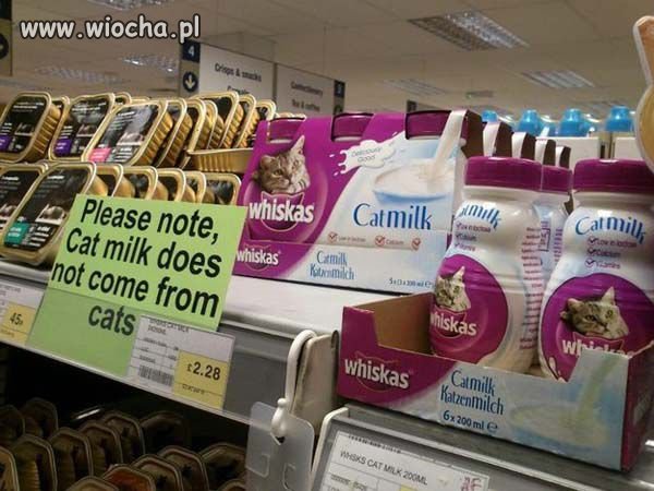 Bo angolom trzeba napisać wielkimi literami