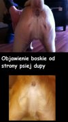 Ciekawe czy mohery by się modliły