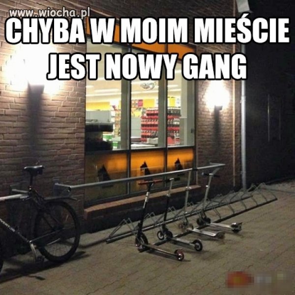 Gang hulaj...