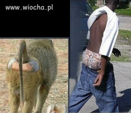 No i wszystko jasne skąd wzięła się ta moda