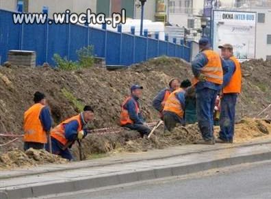 Wiocha dla Ciebie jeśli myślisz, że to nieuki