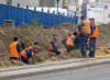 Wiocha dla Ciebie jeśli myślisz, że to nieuki