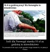 To jak to  nazwać u nas 
