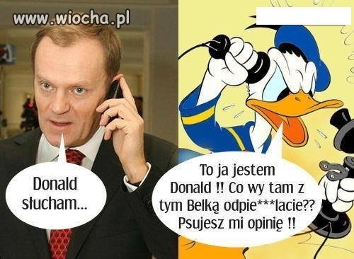 Donek VS Kaczor Donald