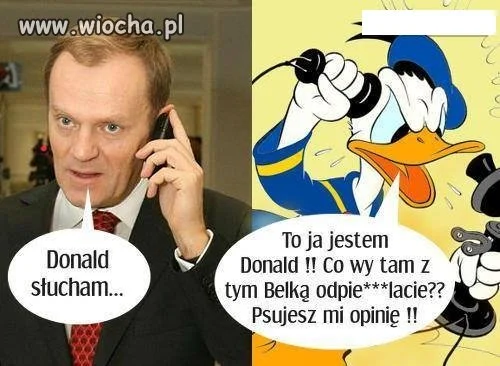 Donek VS Kaczor Donald