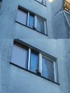 Z cyklu ...Mój właściciel 