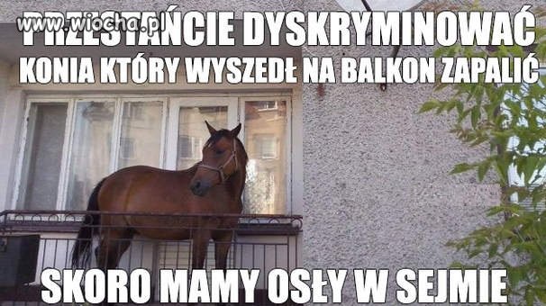 Co tu dużo mówić...