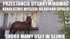 Co tu dużo mówić...