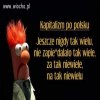 Kapitalizm
