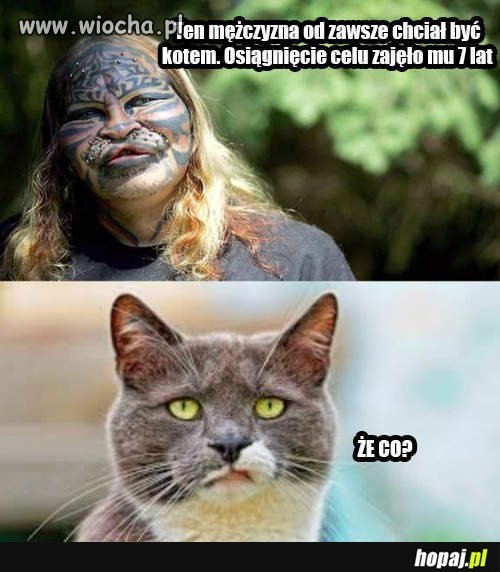 No chyba się nie udało